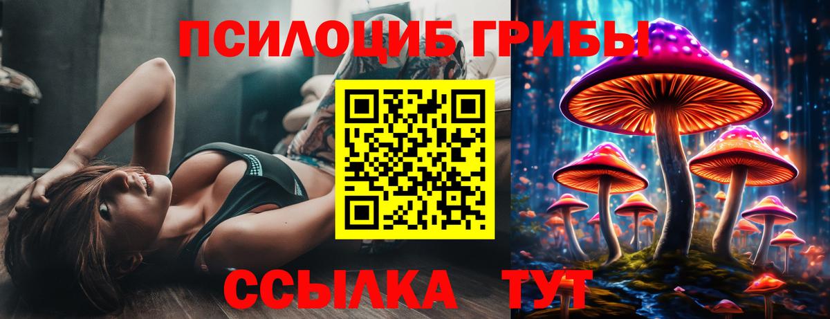 Алексеевка  Псилоцибиновые грибы GOLDEN TEACHER  Вход с VPN 